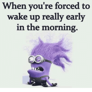when-youre-forced-to-wake-up-really-early-in-the-19738397